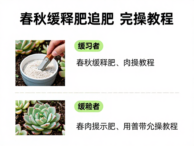 缓释肥在春秋季节的实操与用量控制