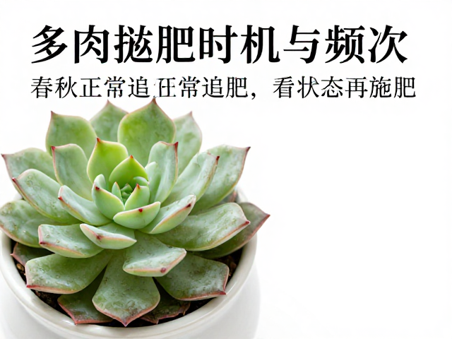 施肥频次与环境控制