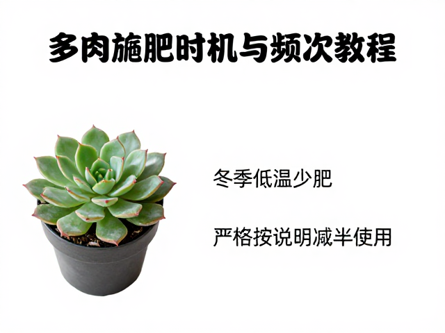 常见误区与风险规避