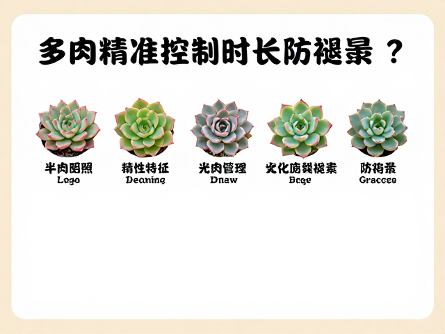 品种特性与个性化光照策略