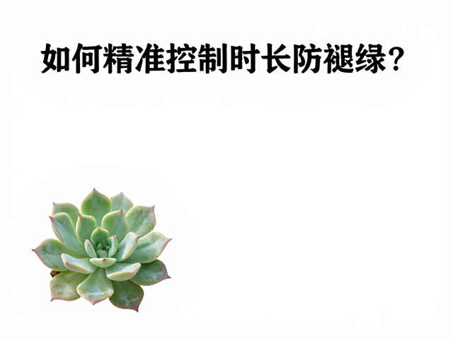 光照时长与褪绿现象的生理关联