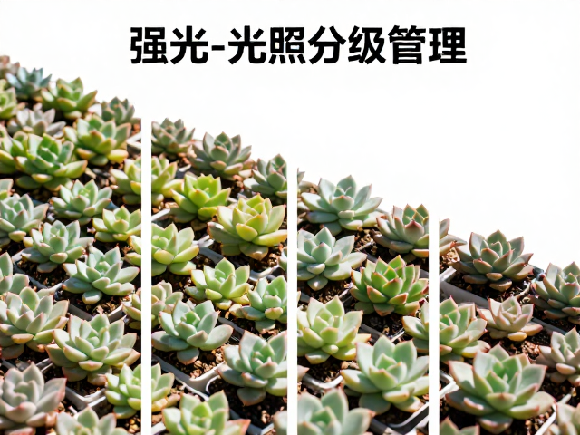 环境反馈与动态调整机制