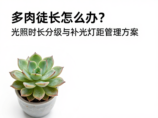 环境协同与长期养护调整