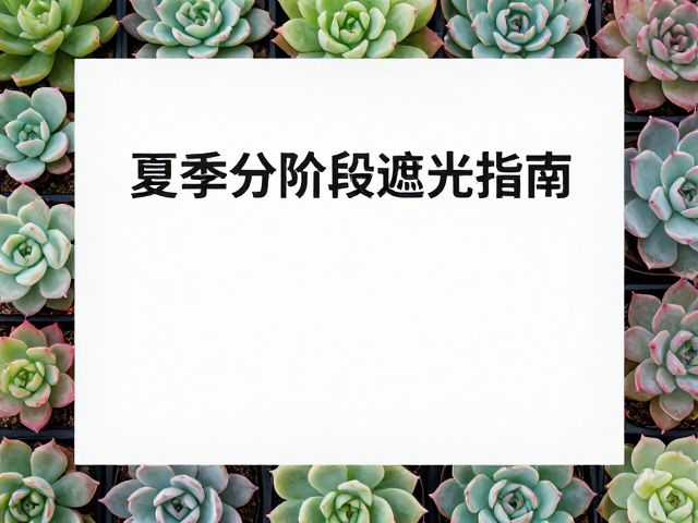 不同品种与环境的差异化应对