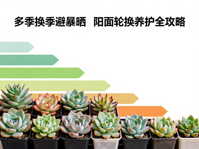 冬季弱光环境的补光与位置调整