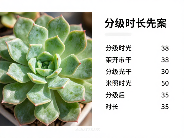 季节性光照调整与分级时长方案