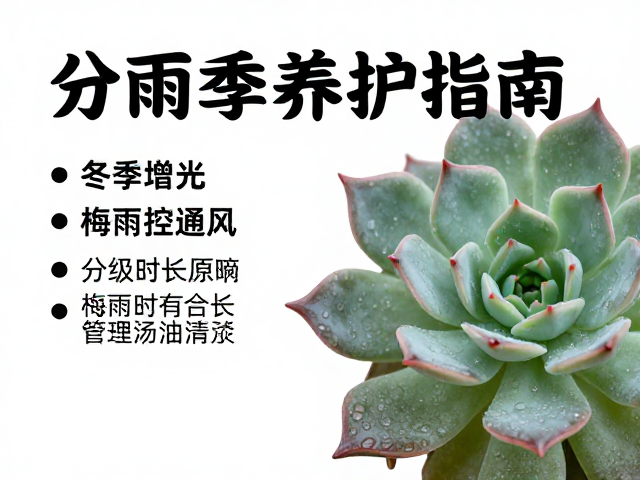 梅雨季节通风控制与湿度管理