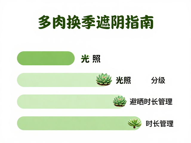 多肉换季遮阴指南，光照需求分级与避晒时长管理