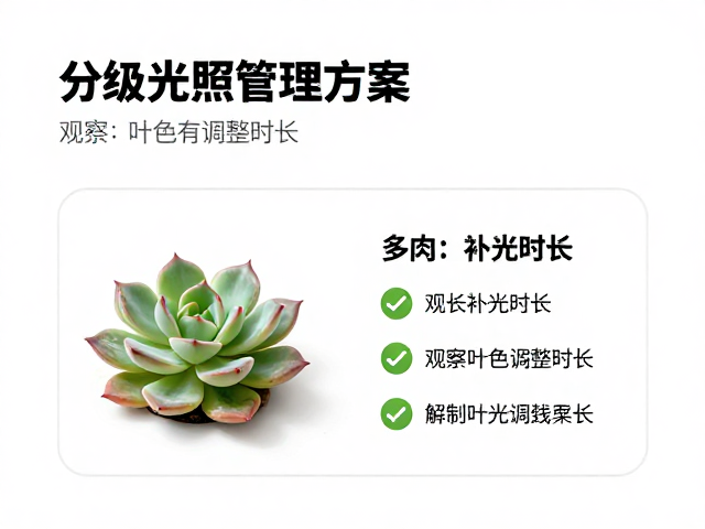 人工补光设备的选型与参数设定规范