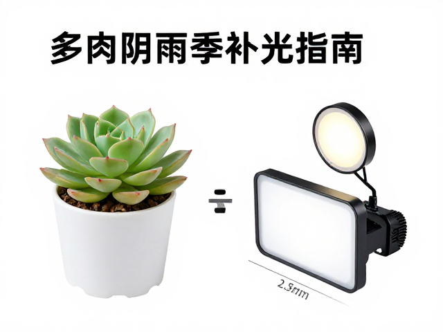灯具选购的光谱与功率匹配原则