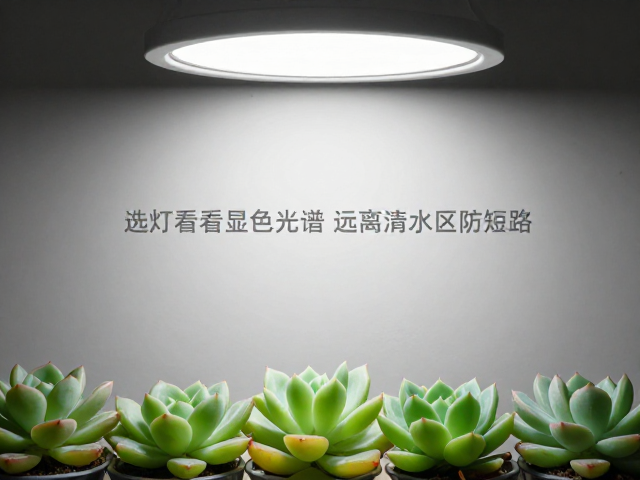 防水防潮:电路安全与环境隔离