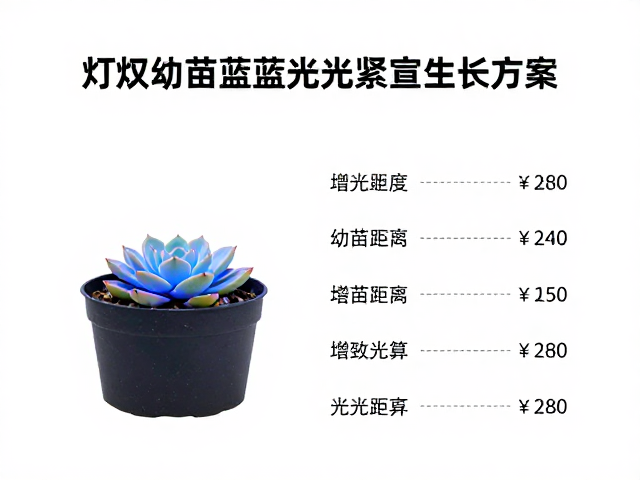 光照强度与铺设距离的计算