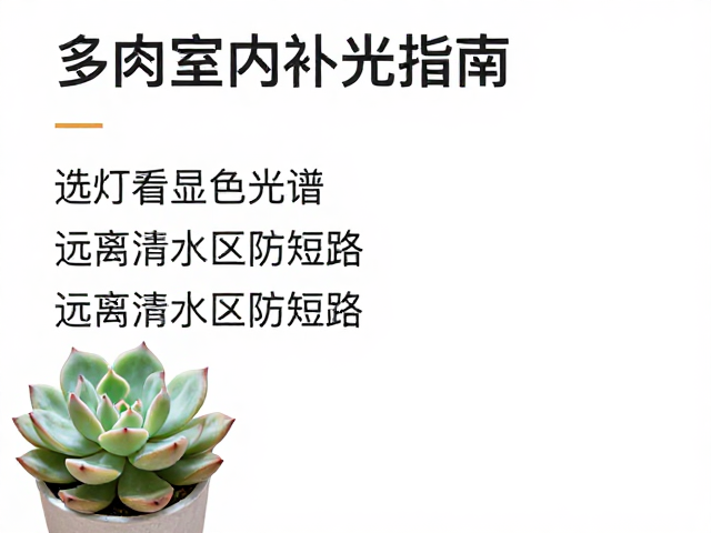 选购与使用:实用参数与长期维护