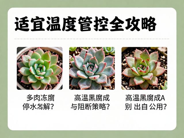 高温黑腐成因与阻断策略