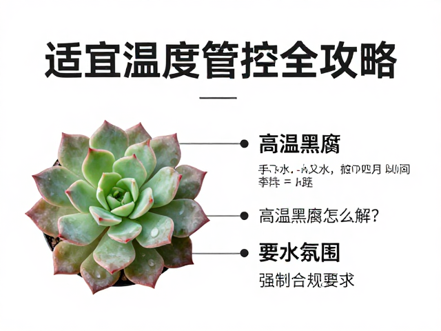 适宜温度区间与季节性管控