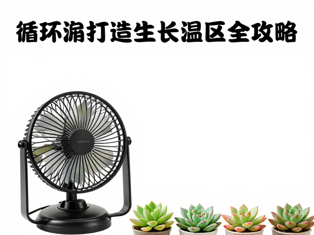 冬季多肉移室内控温，循环风扇，打造适宜生长温区全攻略