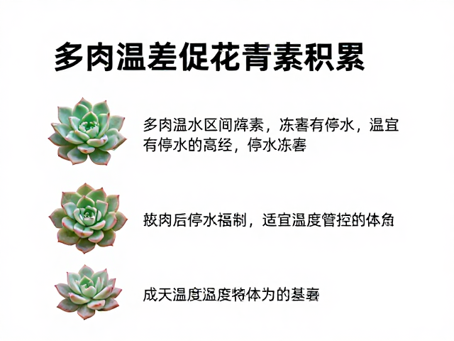 适宜温度区间与季节性调控策略