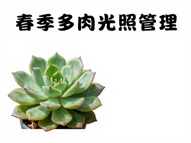 预防化水与黑腐的生理机制