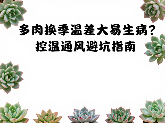 科学控温与微环境管理策略