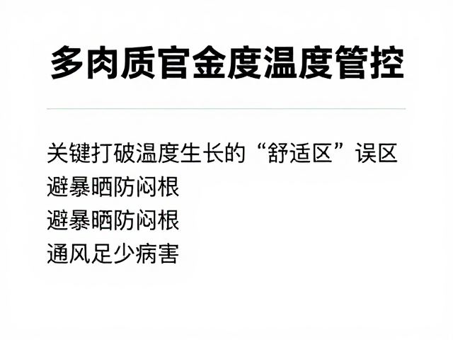 多肉适宜温度管控，避暴晒防闷根，通风足少病害
