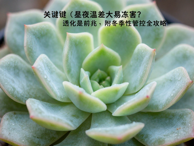 适宜温度区间与季节性管控策略