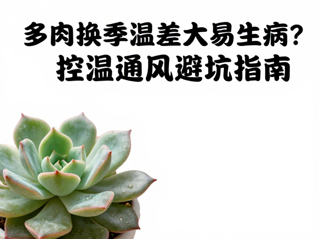 通风换气与湿度控制逻辑