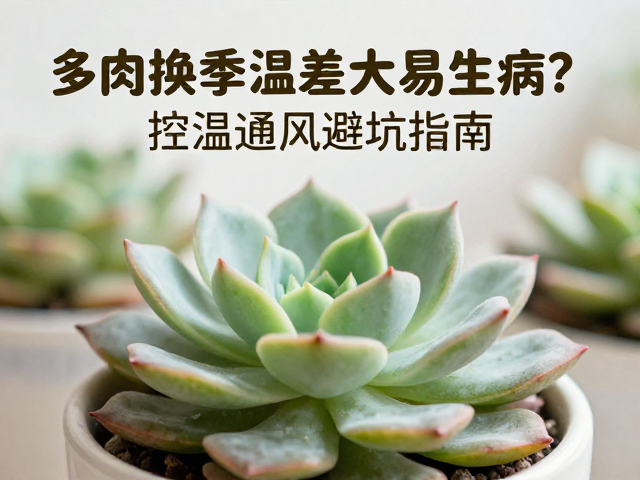 日常养护中的避坑细节