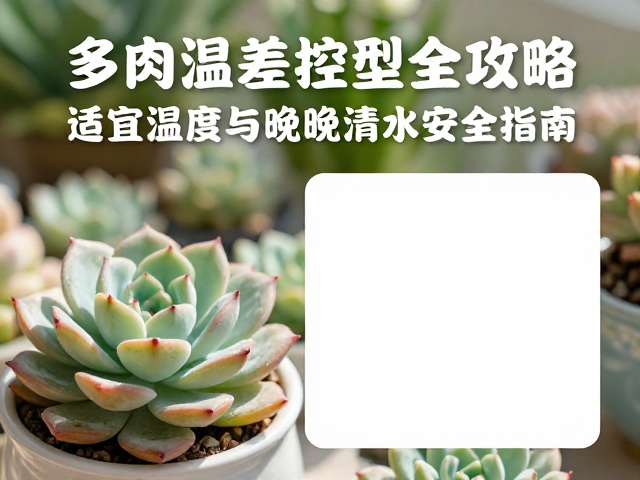 早晚浇水的安全阈值与操作规范