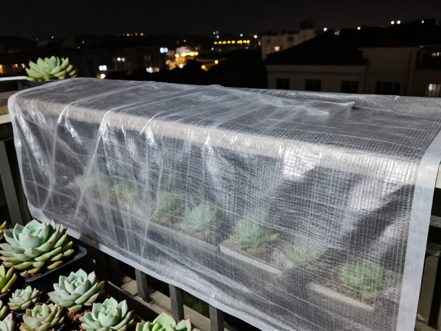 极端天气下的应急保温与风险规避