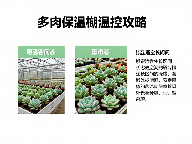 湿度管理与通风策略的协同