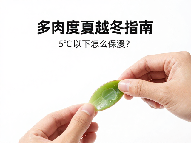 化水叶片的识别与剥离技巧