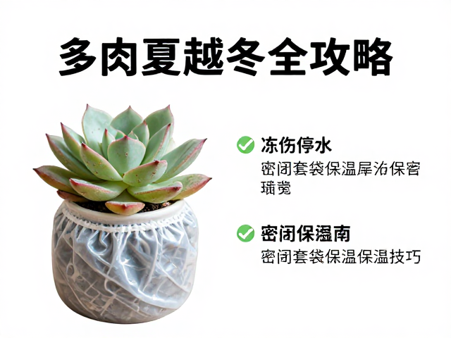 冻伤处理与紧急停水策略