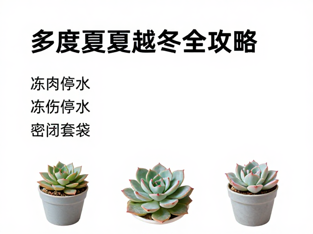 越冬期间的光照与温度管理
