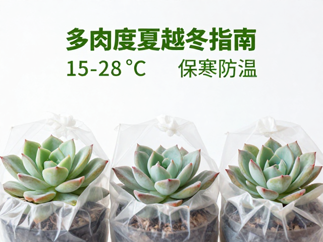 密闭套袋保温防寒的核心逻辑