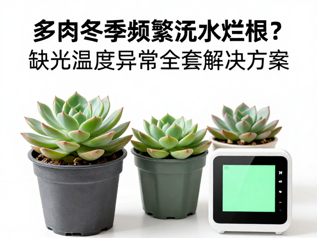 实时监测与环境数据化管理
