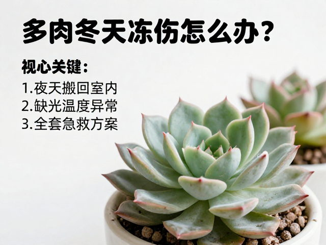 病虫害预防与观察记录