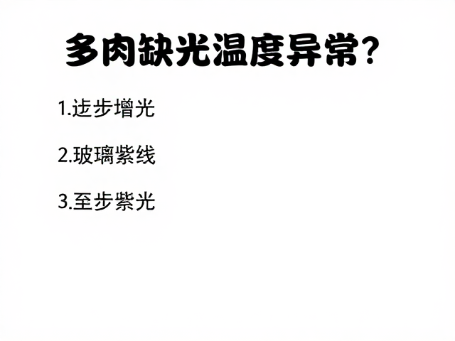 多肉缺光温度异常？逐步增光避玻璃紫外线，全套急救方案