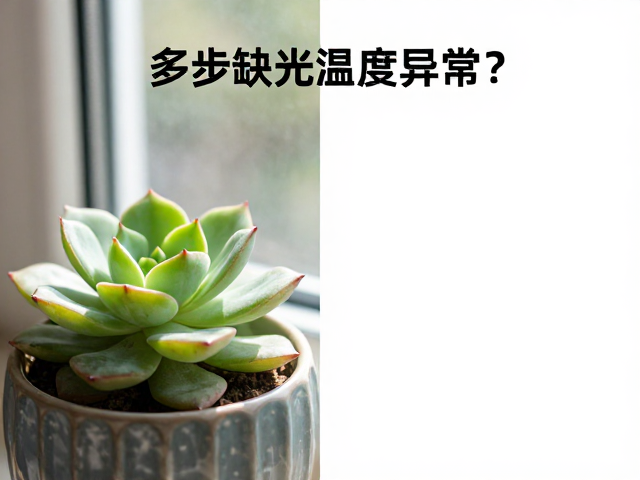 逐步增光与规避玻璃紫外线的具体操作