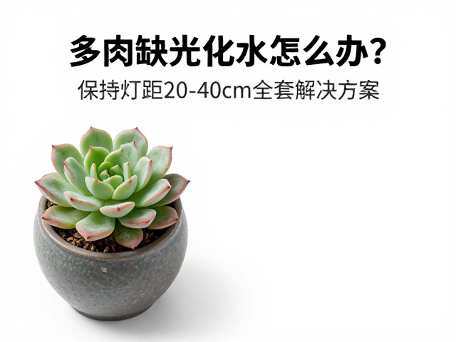 环境湿度与通风调控