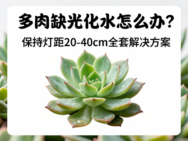 日常监测与应急处理