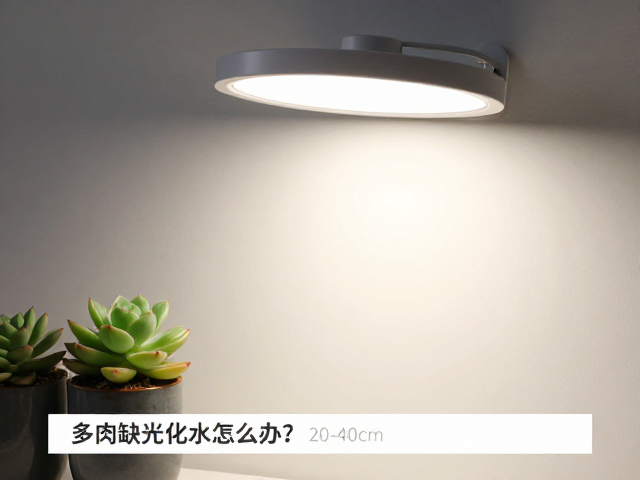 补光灯距离与光谱选择