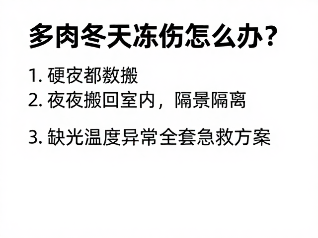 多肉冬天冻伤怎么办？夜间搬回室内，缺光温度异常全套急救方案