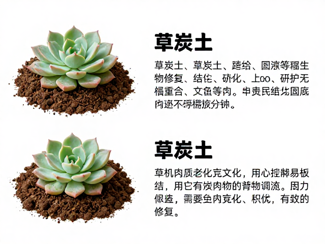 有机质老化与微生物修复