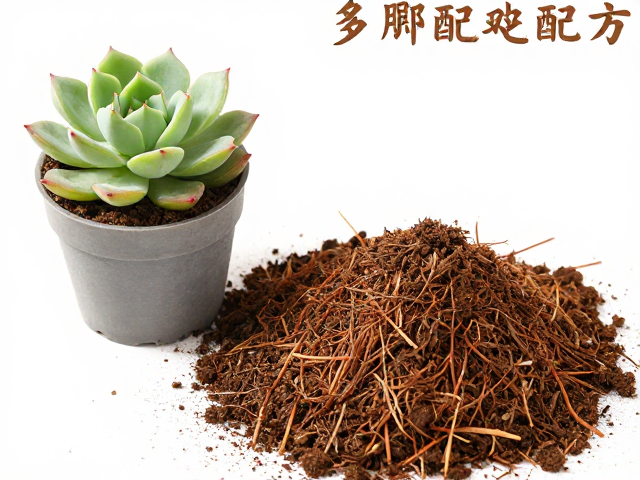 多肉配土配方，椰糠未脱盐伤根？新手用带孔盆防积水教程