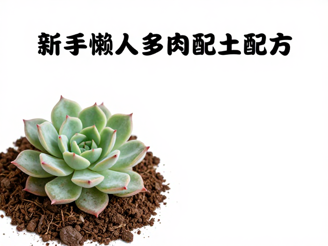 冬季低温地区阴凉通风缓苗指南