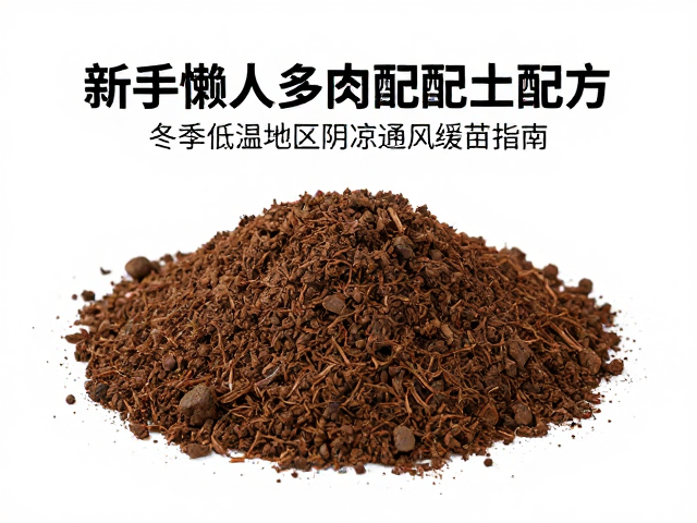 新手懒人多肉配土配方，冬季低温地区阴凉通风缓苗指南