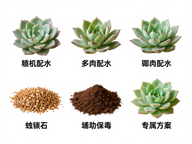 多肉配土配方，椰糠，蛭石辅助保水，热门品种专属方案
