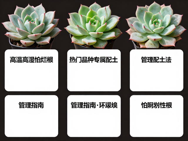 标签牌管理的信息层级与材质选择