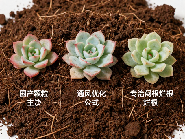 配土实操细节与后期养护验证
