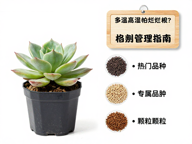 热门品种专属配土方案与颗粒比例